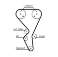 COURROIE MOTEUR PEUGEOT, CITROEN 134 DENTS/5581XS
